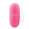 Ecopink Egg Vibrator with Remote Control