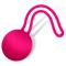 Fitty 1 Kegel Ball