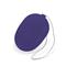 Vibrating Egg with Remote Control Mini Purple