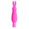 Neon Mini Vibe Luv Bunny Pink