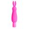 Neon Luv Bunny Pink