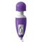 Wanachi  Micro Massager-Purple