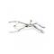 Anal Speculum with 3 Spoons Chrome-Silver