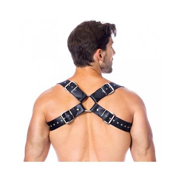 Harness