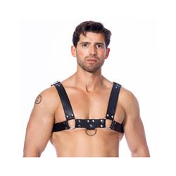 Harness