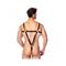 Harness-Adjustable