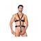 Adjustable Leather Harness with Rings
