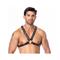 Harness-Adjustable