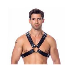 Harness-Adjustable