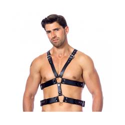 Harness-Adjustable