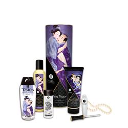 Shunga Carnal Desires Kit