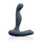 Sir Richards  ELEMENT PM Vibrating Prostate Massager