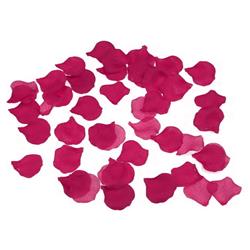 100 Petals Fucsia