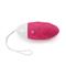 Wireless Egg USB Rechargeable-Pink