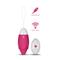 Wireless Egg USB Rechargeable-Pink