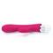 Rabbit Vibrator USB Rechargeable-Rose Red