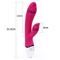Rabbit Vibrator USB Rechargeable-Rose Red
