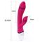 Rabbit Vibrator USB Rechargeable-Rose Red