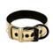 Collar With Leash-Gold