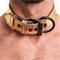 Collar With Leash-Gold