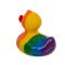 Rainbow Squeaking Duck, ca. 10,5 cm, on blister ca