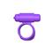 Fantasy C-Ringz  Vibrating Couples Cage-Purple