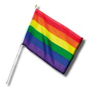 Banderin Pequeño con Bandera LGBT+ 30 cm