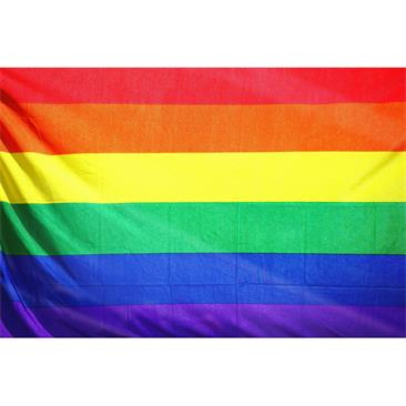 Bandera Gay 90 cm x 60 cm
