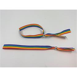 Pulsera Ajustable Bandera LGBT+