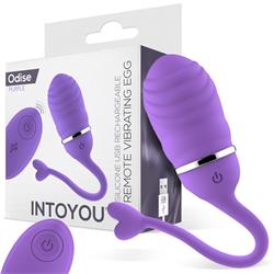 Remote Vibrating Egg Odise USB Silicone Purple