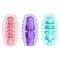Pretty Love Double - Sided Egg 15 pcs. Clave 10