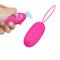 Selkie Egg Vibrator with Remote Clave 90