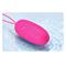 Selkie Egg Vibrator with Remote Clave 90