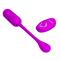 Pretty Love Lechies Egg Silicone Remote USB Cl. 65