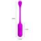 Pretty Love Lechies Egg Silicone Remote USB Cl. 65