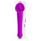 Faust Powerful Licking Vibrator USB Clave 25