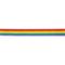 Banda Bandera LGBT