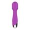 Purple Vibrating Wand