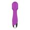 Purple Vibrating Wand