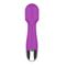 Purple Vibrating Wand