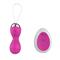 Pink Vibrator Egg with Remote