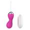 Pink Vibrator Egg with Remote