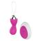 Pink Vibrator Egg with Remote