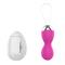 Pink Vibrator Egg with Remote