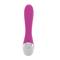 Pink Vibrator with Rabbit