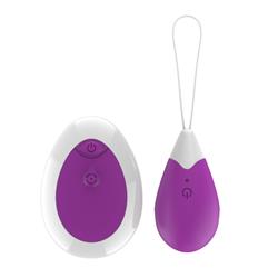 Vibrating Egg with Remote Purple