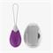 Vibrating Egg with Remote Purple