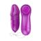 Laary Multi-Speed Egg Vibrator Purple