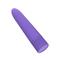 Vibrating Bullet Purple