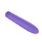 Vibrating Bullet Purple